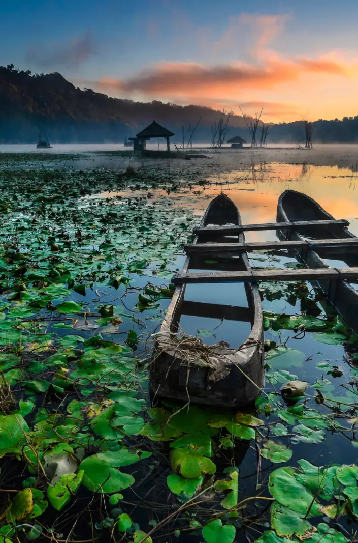BALI